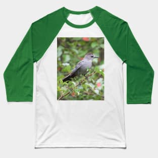 Gray Catbird in a Tree Baseball T-Shirt